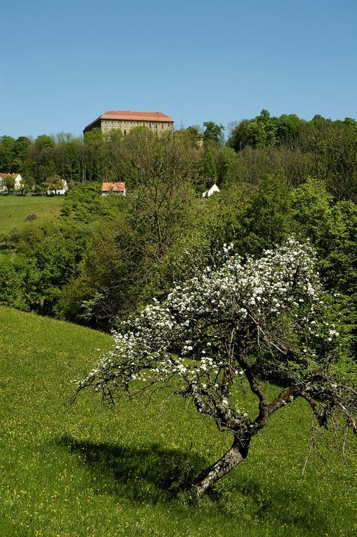 Gasthof Adler Schillingsfuerst ภายนอก รูปภาพ